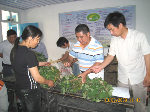 突出“科”字辦實事，服務(wù)農(nóng)民見成效—我院邀請浙江省農(nóng)科院蕃薯栽培專家為結(jié)對村推廣優(yōu)良品種