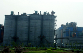 嘉興桐新100萬(wàn)噸粉磨站