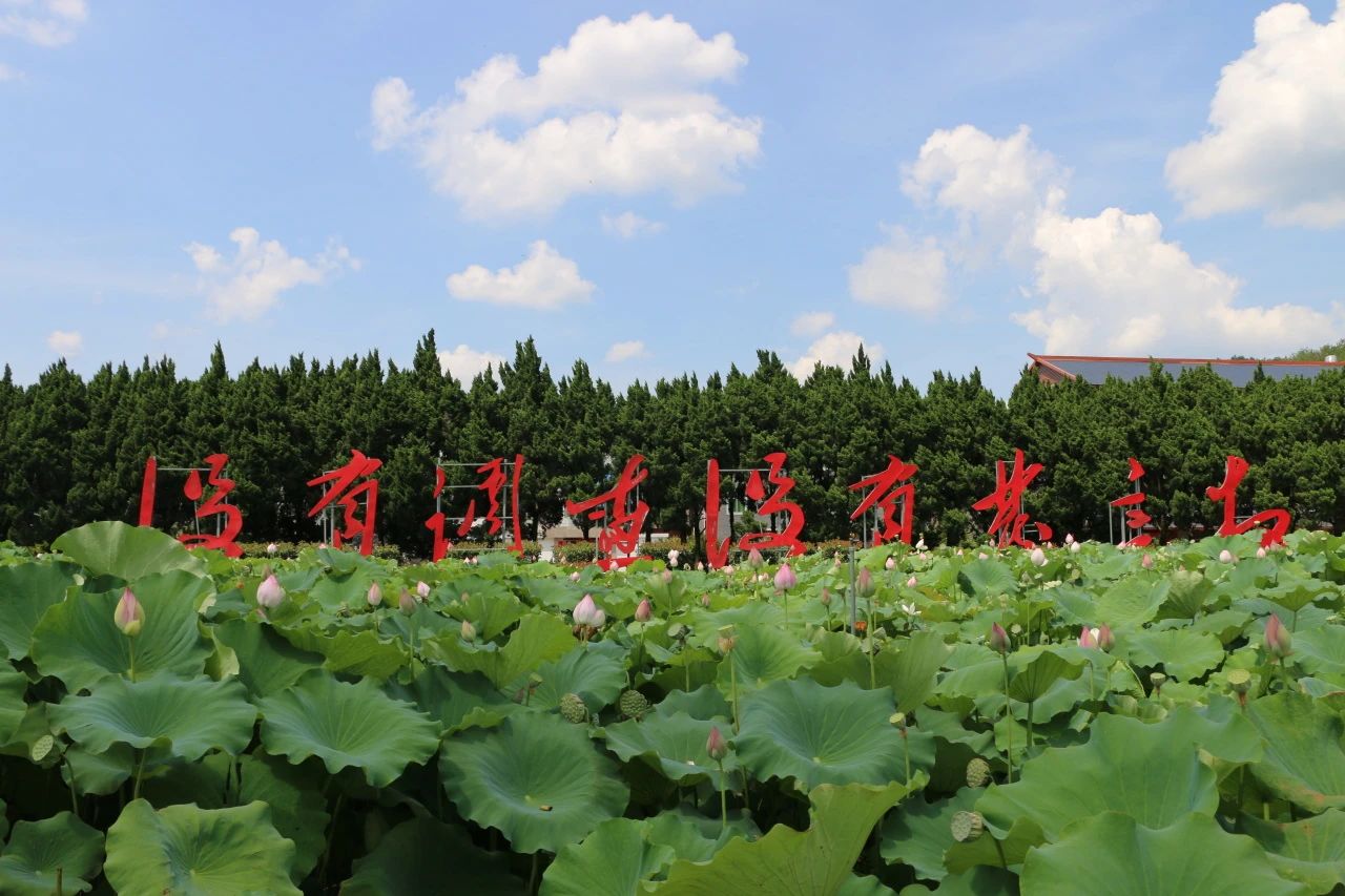 成功從古田開始 勝利在這里起航——公司主題教育黨史現(xiàn)場研學(xué)順利進(jìn)行
